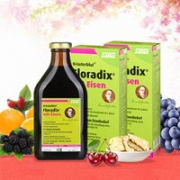 Salus Floradix 铁元补铁补血营养液 500ml*2瓶
