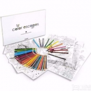 Crayola 绘儿乐 秘密花园绘画套装 Prime会员凑单免费直邮