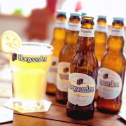 福佳盾（Hoegaarden） 白啤酒 330ml*24瓶 *2件 比利时进口