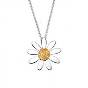 Daisy London 小雏菊吊坠短款锁骨链925银饰