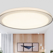 HAIDE 海德照明 繁星 HDX400-LED024-FXS LED卧室书房吸顶灯 圆形 24W  66元（99元，买三免一））