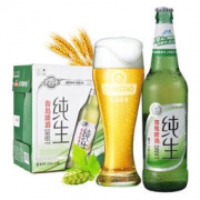 Tsingtao 青岛啤酒 纯生8度 500ml*6瓶