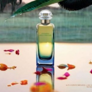 爱马仕（HERMES）   Un Jardin Apres la Mousson 雨后花园 中性香水 50ml