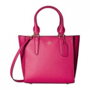 COACH 蔻驰 Polish Pebble 24 Carryall 女士手提包