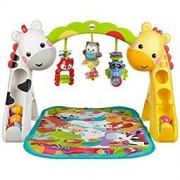 Fisher Price 费雪 CCB70 欢乐动物音乐健身器