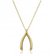 Amazon Collection Wishbone 许愿骨项链 优雅百搭