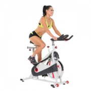 SUNNY HEALTH & FITNESS SF-B1509 家用动感单车
