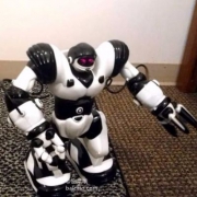 WowWee Robosapien X 可编程机器人 prime会员免费直邮