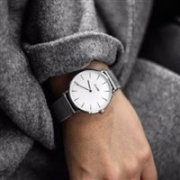 荷兰品牌CLUSE  La Boheme Mesh系列 38mm 石英女士手表