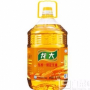 龙大 压榨一级 特香花生油6.18L