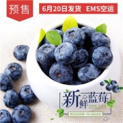 山东青岛蓝莓 115-125g 4盒