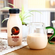 三元  布朗旎风味酸奶 255g*4件 口感细滑