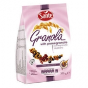 Sante 三特 浆果干吃燕麦片 350g*6袋