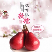 10点开始，山果演义 秦岭红啤梨5斤