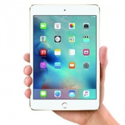 苹果 Apple iPad mini 4 7.9英寸 平板电脑