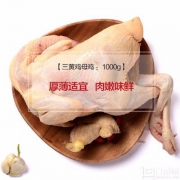 限地区，明康汇 三黄鸡 母鸡 1000g*6袋