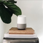 Ok Google:谷歌智能家居设备 Google Home+Chromecast