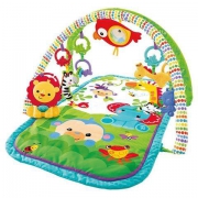 Fisher Price 费雪 CHP85 热带雨林动物健身器