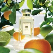 JO MALONE 祖马龙 青柠罗勒与柑橘古龙水 100ml
