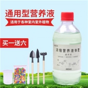 美丽绽放 通用型绿植物营养液 460ml