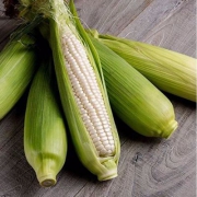江苏白糯玉米5斤