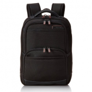新秀丽（Samsonite）  多功能电脑双肩背包 IX 36B*09009