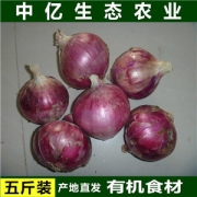 新鲜洋葱 5斤装