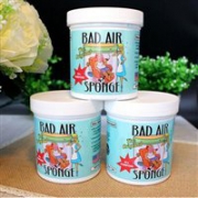 Bad Air Sponge空气净化剂 1磅*12罐