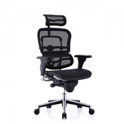Ergonor 保友办公家具 人体工学电脑椅 金豪标准版