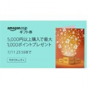 薅羊毛啦！日亚现有prime day会员日购买5000円优惠券