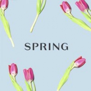 独家优惠！Spring官网全场8折再来！美妆护肤也参加，最高减$50