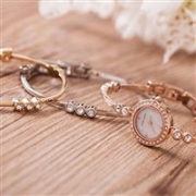 Anne Klein 安妮·克莱因AK/1690TRST 施华洛世奇水晶女士时装腕表套装