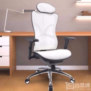 松林 享耀家 SL-F8 人体工学椅电脑椅+增强4D扶手套装 送布套
