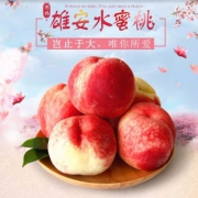 10点开始，世果汇 雄安大水蜜桃9个（约5两/个）