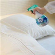居家杀毒除菌必备：P&G 宝洁 双倍除菌消毒芳香喷雾 370ml