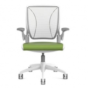Humanscale 优门设 W11WN01K459 World办公椅