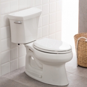 科勒（KOHLER）  K-5343T-S-0 纽华氏五级旋风分体座便器 305坑距