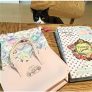 创意杂志附录 franche lippee 少女粉托特包&猫咪内衬袋