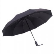 RAINSCAPE/雨景   全自动三折叠超大加固防风晴雨伞   26元（29-3）