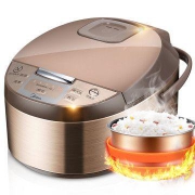 Midea 美的 4L 电饭煲 WFD4016