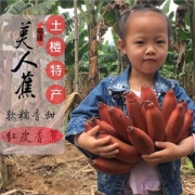 欢森 土楼美人蕉 红皮香蕉 5斤