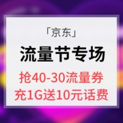 10点抢# 京东 流量节专场大促