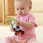 凑单品！ Fisher-Price 费雪 Y6583 缤纷动物之熊猫摇铃