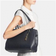 COACH 蔻驰Stamped Snakeskin Stanton Carryall女士蛇皮纹真皮手提包/斜跨包