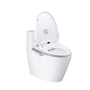 高仪（GROHE ）  129219 双漩虹吸连体马桶 305坑距 + 智能马桶盖套装