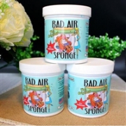 BAD AIR SPONGE 空气净化剂 400g*3