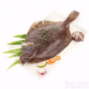 Seamix 禧美 荷兰花斑鲽鱼 500g*5