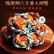 10点开始，阳澄绿洲 阳澄湖六月黄大闸蟹12只（10公+2母）