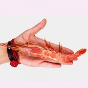 阿根廷红虾 L1 进口日料海虾 2kg/包