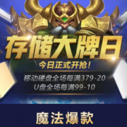 京东存储大牌日